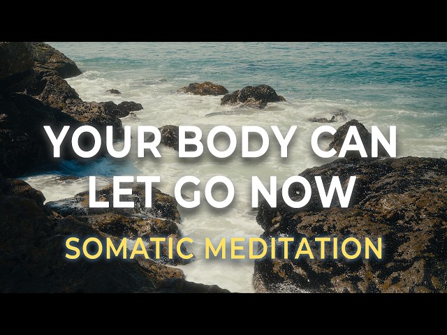 Somatic Stress Release Meditation | Let Your Body Finally Let Go