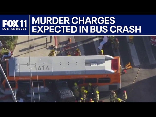 Driver facing murder charges in deadly Metro crash: LAPD
