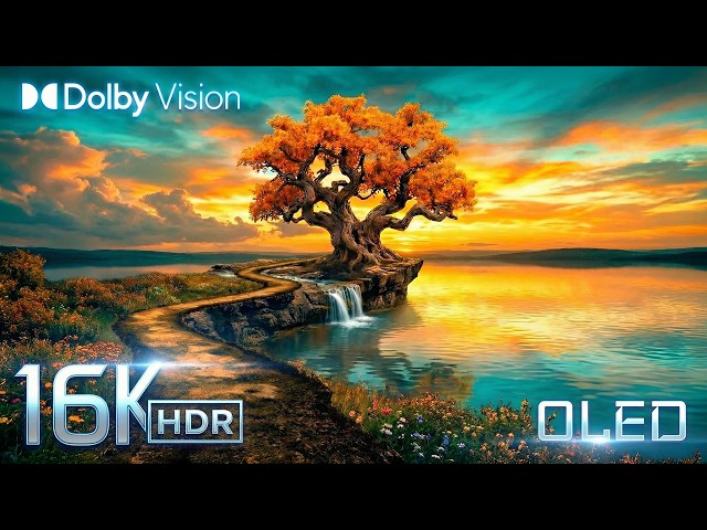16K Dolby Vision HDR at Its Peak – 120FPS OLED Performance (8K/4K TV)