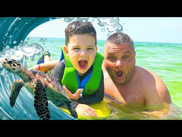 Caleb & Daddy Play In The Ocean with Sea Turtles and Crabs! Caleb Pretend Play