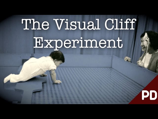 The Dark side of Science: The Baby Cliff Experiment 1960 | Short Documentary
