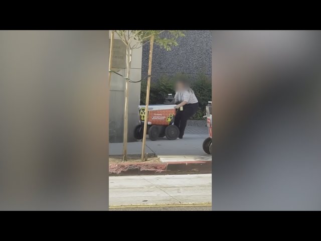 Human rescues robot from L.A. sidewalk and internet goes crazy