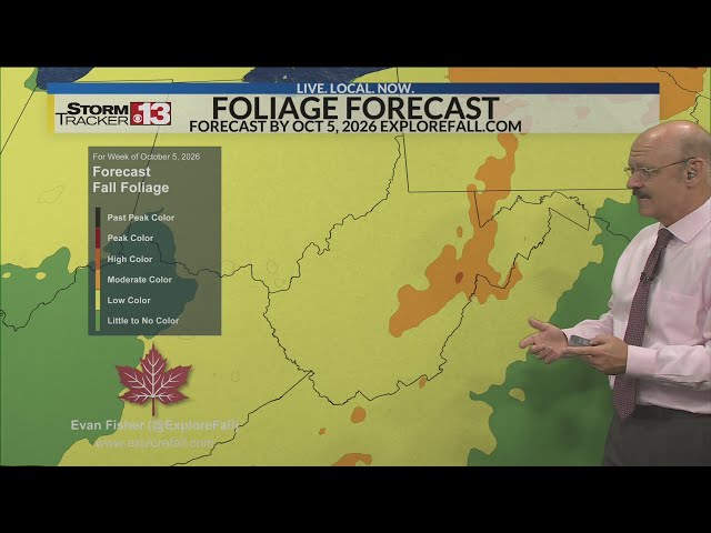 Fall color forecast through October 5, 2026