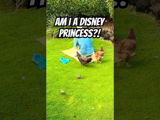 REAL LIFE DISNEY PRINCESS… But With Chickens 👑🐔💕