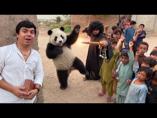 Zoo Ka Bhr Panda Wala Agea 😱 Khareed Lein Kia ? 