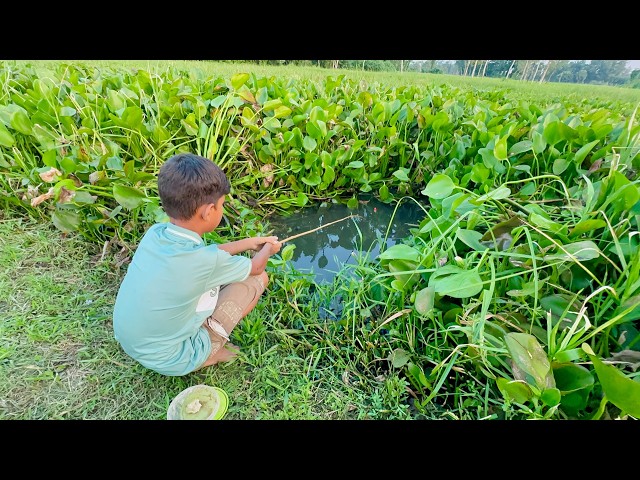 fishing video 2026✅| Little Boy hunting fish by fish hook From village beautiful nature🥰🥰(Part-398)
