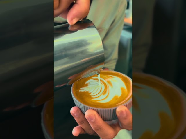 Let the coffee do the talking.#rcb #kkr #dj  #elvishyadav #saurabhjoshivlogs #mrbeast #mythpat #csk