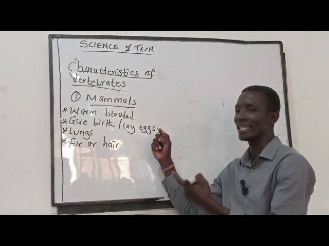 SCIENCE AND TECHNOLOGY PART 2 characteristics of vertebrates.  