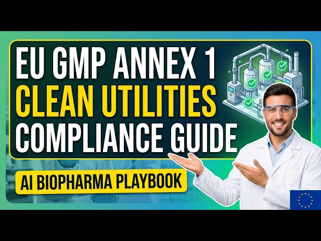 𝗘𝗨 𝗚𝗠𝗣 𝗔𝗡𝗡𝗘𝗫 𝟭 𝗖𝗟𝗘𝗔𝗡 𝗨𝗧𝗜𝗟𝗜𝗧𝗜𝗘𝗦 𝗖𝗢𝗠𝗣𝗟𝗜𝗔𝗡𝗖𝗘 | 𝗖𝗢𝗠𝗣𝗥𝗘𝗛𝗘𝗡𝗦𝗜𝗩𝗘 𝗚𝗨𝗜𝗗𝗘