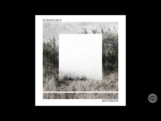 Echology - Give Thanks [Insectorama] | Dub Techno Selections