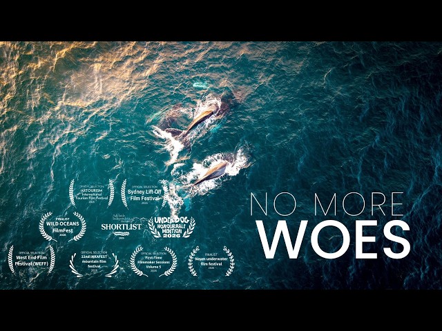 No More Woes | An Ocean Conservation Short Documentary