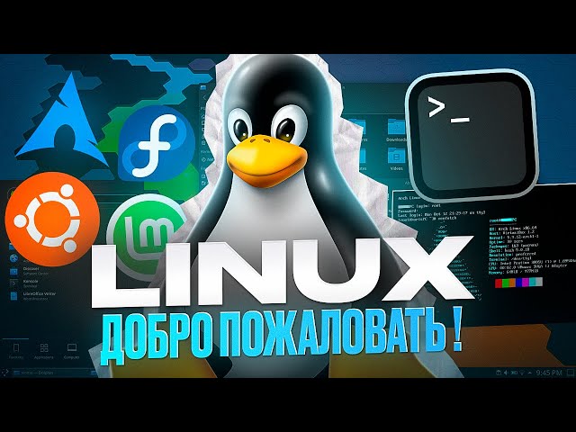 What is Linux? Guide + Installation
