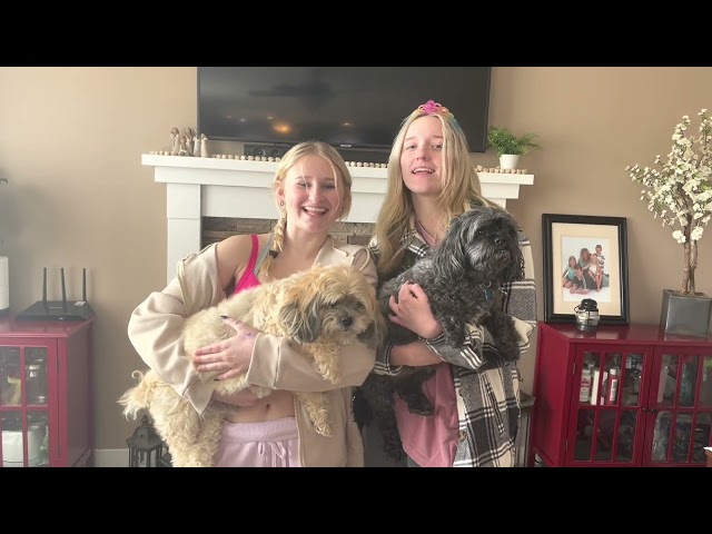 APUSH cold war feud
