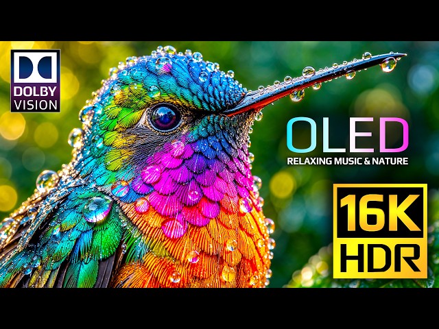 Ultimate Massive OLED Display Test | Dolby Vision HDR 16K Video 120fps (Relaxing Music)