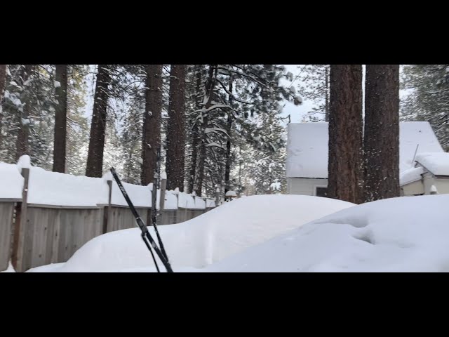 Still DUMPING snow. 18 inches since midnight in some spots. 12 inches everywhere else. 1/25/2021.