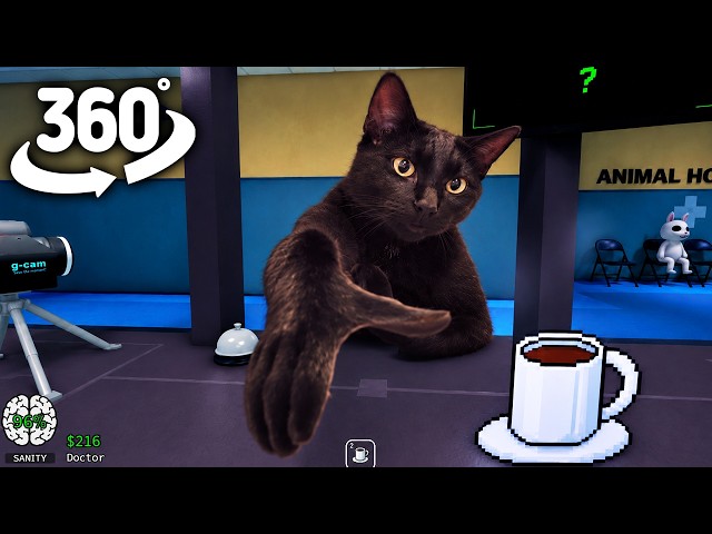 Clapping Cat in Animal Hospital! | 360° VR Animation