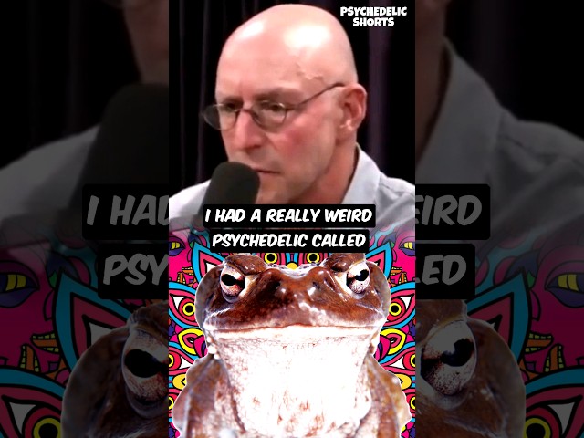 Michael Pollan's First 5-MeO-DMT Trip 🚀👍