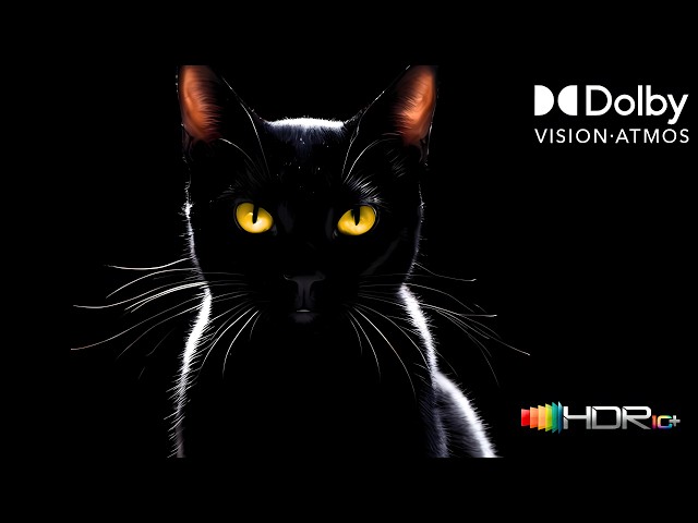 If You Can't See The Details, Your TV Is Not OLED – Ultimate HDR Contrast Test (4K)