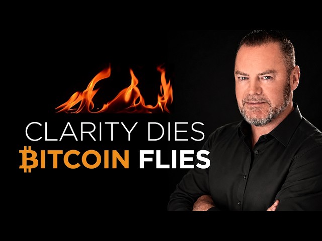🚀 Clarity Dies Bitcoin Flies: Hikes, Tokenization, AI, Oil, DEXs