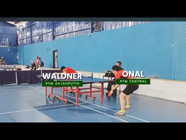 WALDNER - PTM GAJAHPUTIH 🆚️ ONAL KIDAL - PTM CENTRAL BUKAKA EXIBIYION @YouTube 