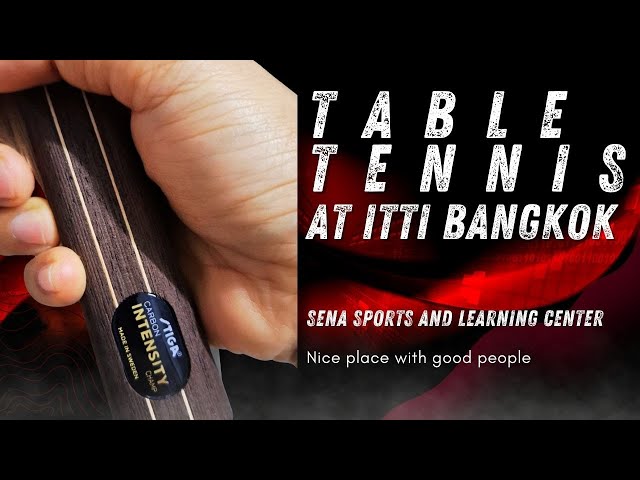 From Beginner to Pro: My Table Tennis Journey