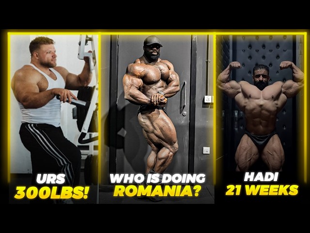Samson Dauda Doing Romania Pro? + Urs Kalecinski 300LBS!! + Hadi Choopan 21 Weeks Out of Arnold