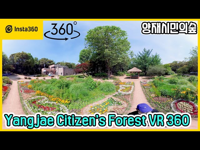 Insta360 One X 2 | Yangjae Citizen's Forest 360 VR Tour | 5.7K