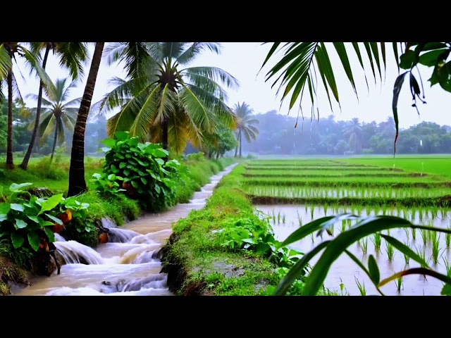 Rain Sounds for Deep Sleep | Rain Sounds for Sleeping