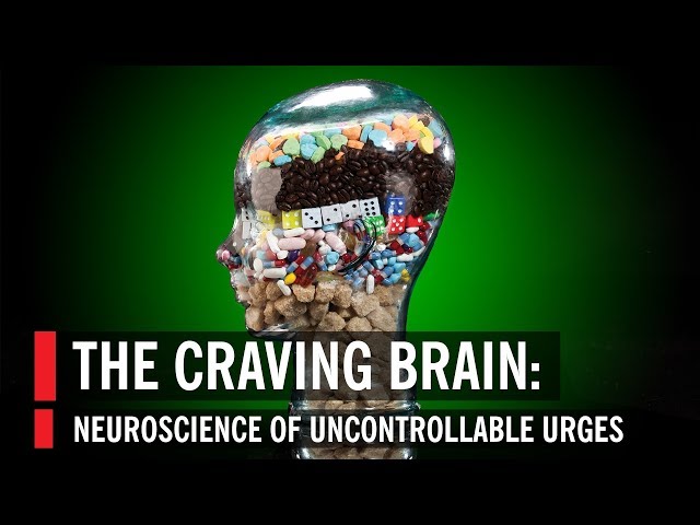 The Craving Brain: Neuroscience of Uncontrollable Urges | World Science Festival