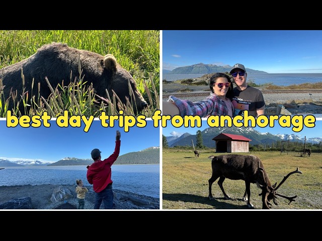 Day Trips from Anchorage! Alaska Wildlife Conservation Center, Girdwood, & Seward! Alaska Family VAC