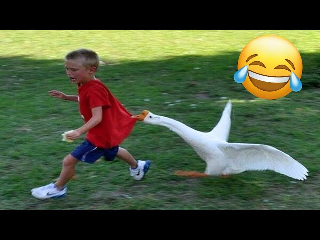 TRY NOT TO LAUGH 😂 Best Funny Videos compilation - Fails, Pranks & Hilarious Moments 🤣 Part 79