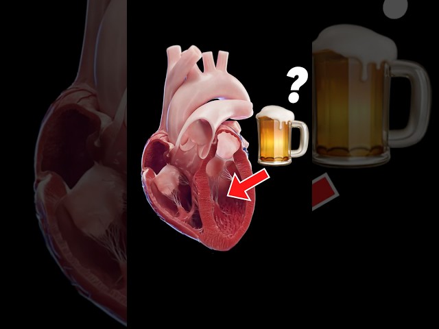 This is why alcohol is BAD for your heart #cardiology #hearthealth #alcohol #science