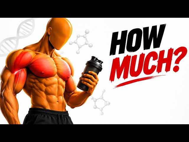 The Truth About Protein: How Much Do You Really Need to Build Muscle?