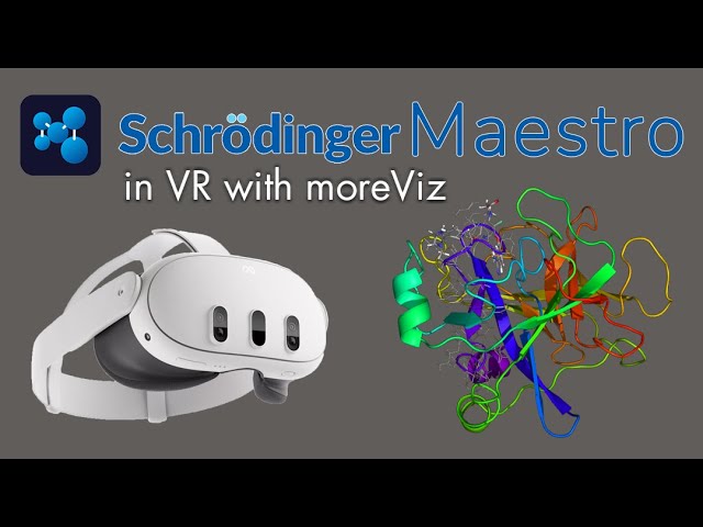moreViz: VR Bridge for Schrödinger Maestro 3D view into Quest, Vive, Pico, Powerwall and VR CAVE