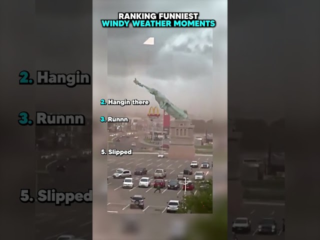 Funny Windy Weather Moments