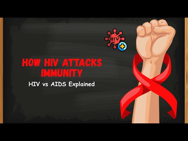 HIV & AIDS Explained | How HIV Attacks the Immune System