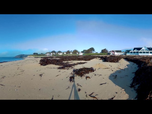 Gyllyngvase Beach