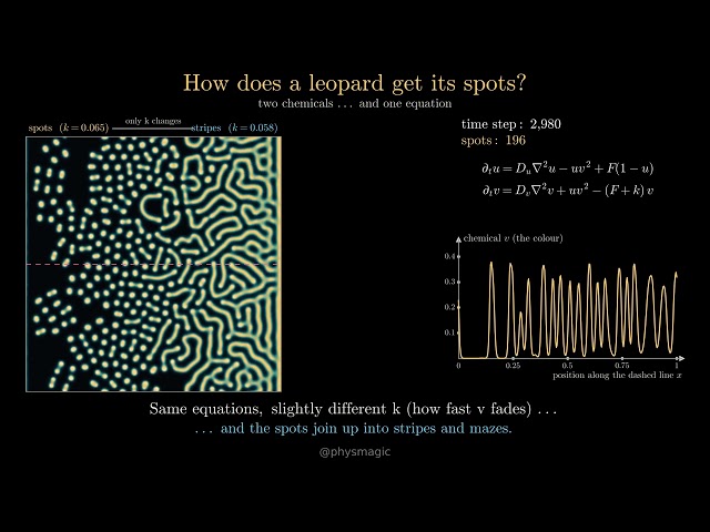 How Does a Leopard Get Its Spots? Turing's Math #shorts