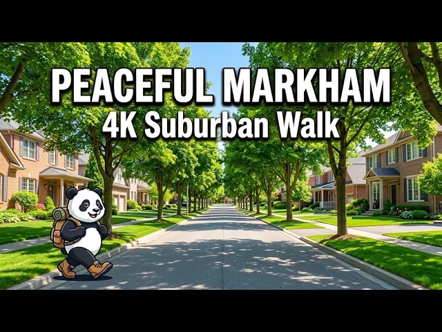 🇨🇦 Quiet Canadian Suburbs: A Relaxing Walk in Markham, Ontario
