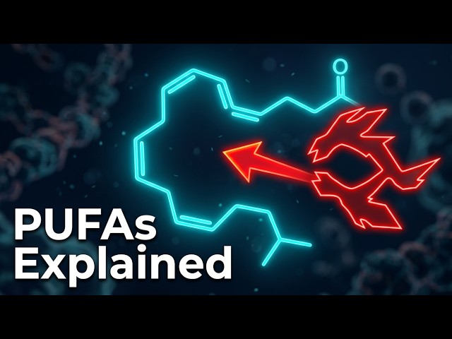 PUFAs - Inflammation & Immunity