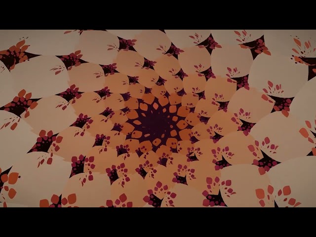 Fractal flower (phyllotaxis) bloom — Seamless Loop