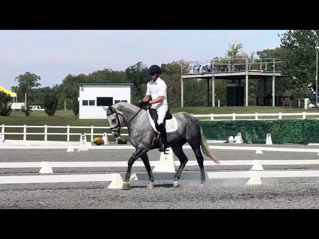 Phelps loch Moy dressage