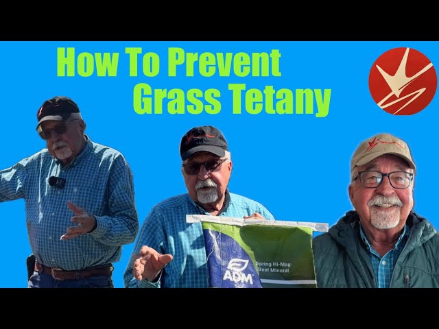 Prevent grass tetany, like a boss