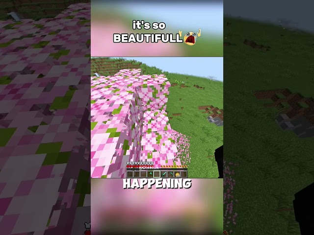 it's so BEAUTIFULL…