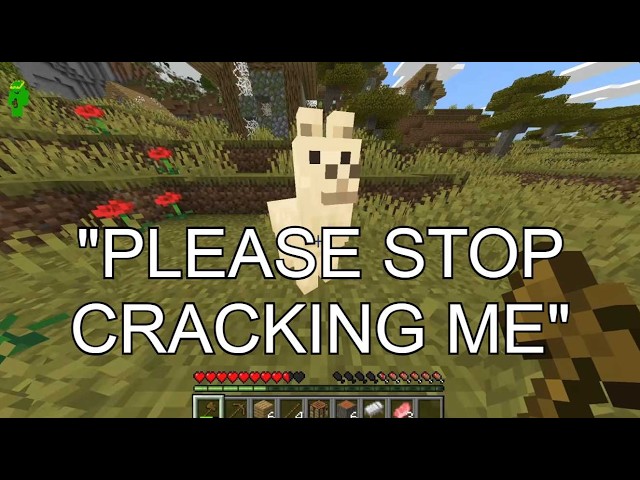 Minecraft but if I jump I get CRACKED