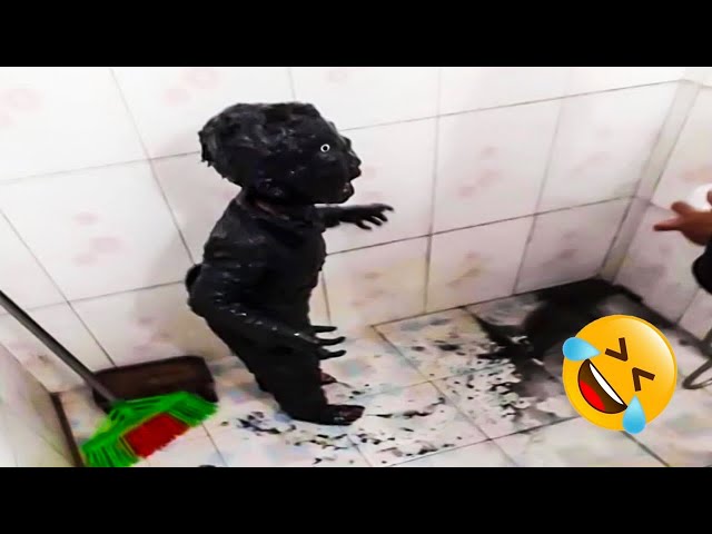 TRY NOT TO LAUGH 😆 Top Funniest Moments 😅😂 Memes PART 2
