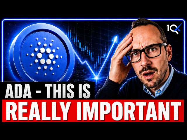Cardano News: The Data Might Surprise You! 😳