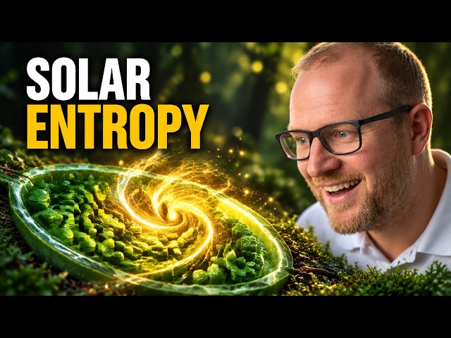 What Plants Really Do: They Build Order From Light