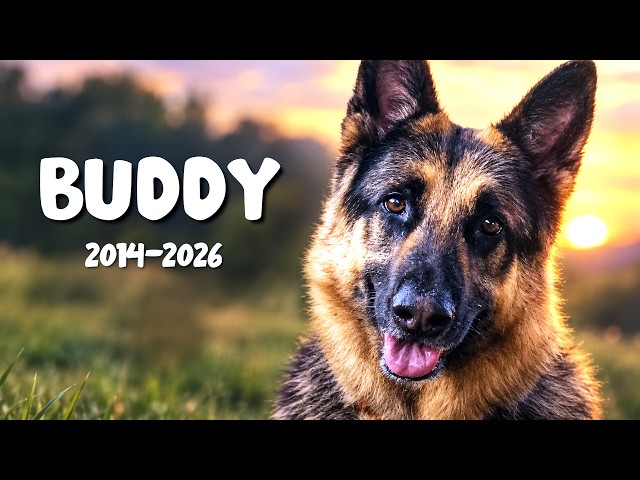 Goodbye Buddy