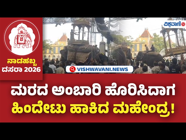 Mysuru Dasara 2026 | Ambari Training | ದಸರಾ ಗಜಪಡೆಗೆ ಅಂಬಾರಿ ಹೊರುವ ತಾಲೀಮು ಆರಂಭ | Vishwavani TV